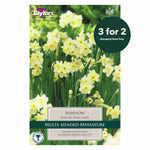 Taylors Bulbs - Narcissus Minnow x 8 Bulbs