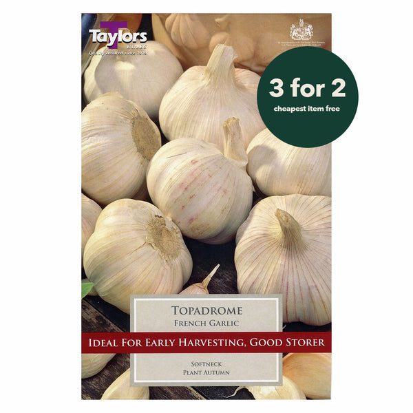 Taylors Bulbs - French Garlic Topadrome x 2