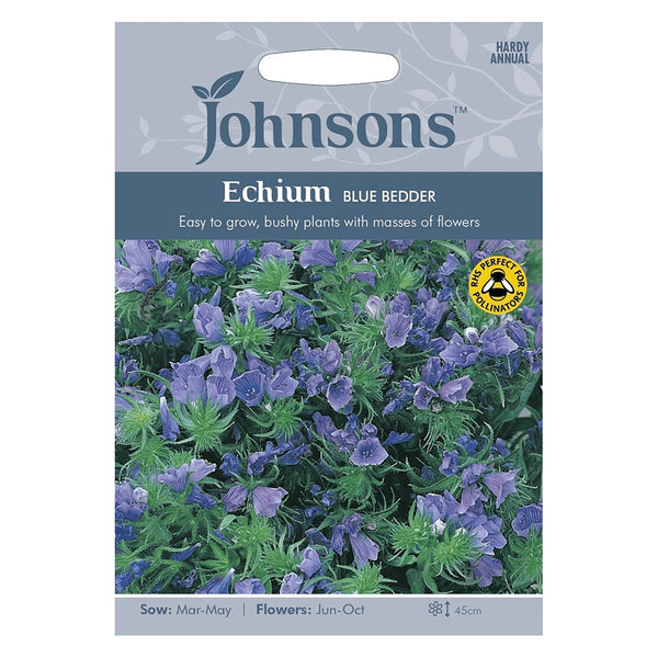 Johnsons Echium Blue Bedder - DeWaldens Garden Centre