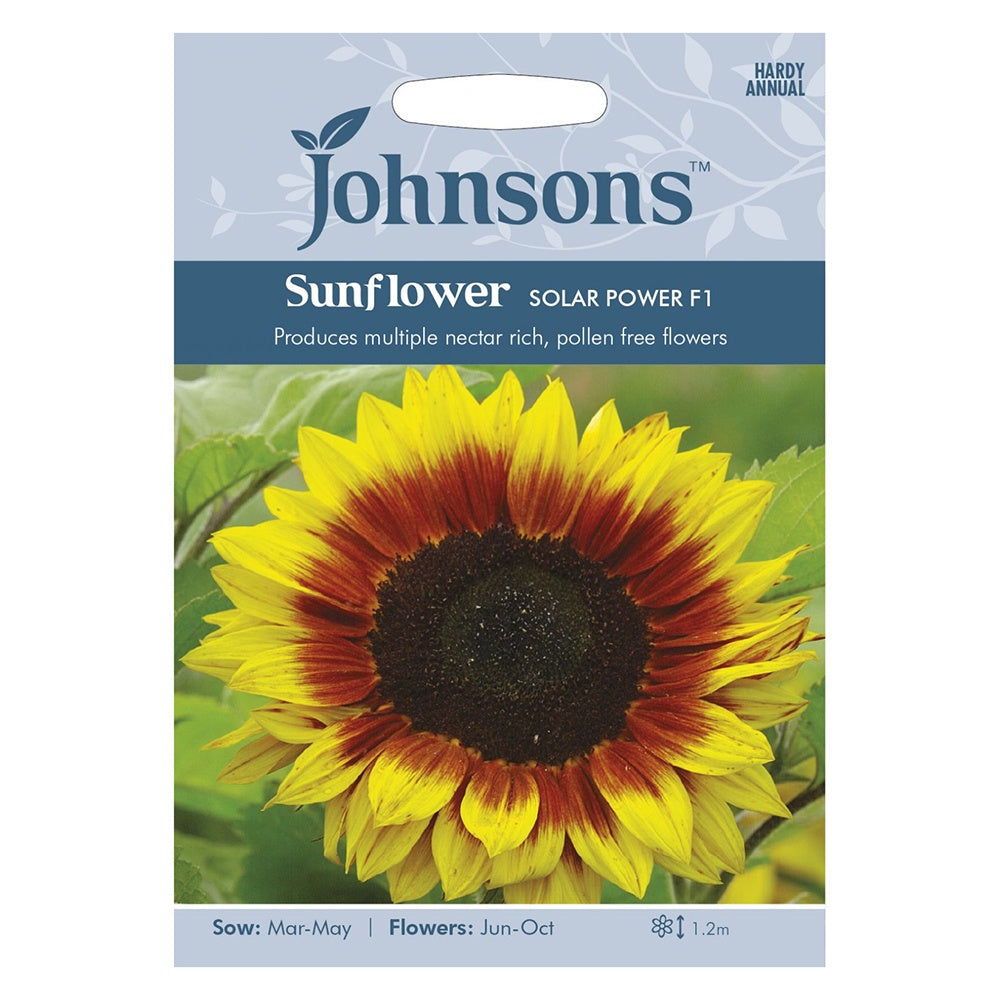 Johnsons Sunflower Solar Power F1 Seeds – DeWaldens Garden Centre