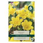 Taylors Bulbs - Crocus Romance x 15 Bulbs - DeWaldens Garden Centre