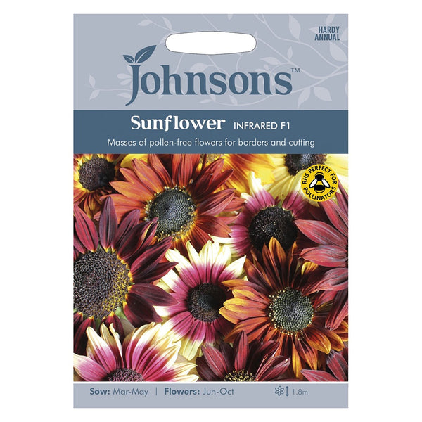 Johnsons Sunflower Infrared F1 Seeds - DeWaldens Garden Centre