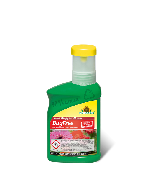 Neudorff BugFree Bug & Larvae Killer Concentrate 250ml PYROL - DeWaldens Garden Centre