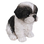 Vivid Arts Shih-Tzu Puppy Pet Pals - DeWaldens Garden Centre